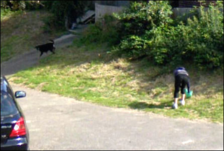 Illustration for article titled Brits Surprised By Candids On Google Street View, Force Image Take-downs